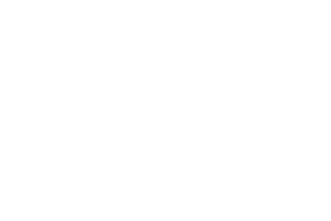 MIE All white logo